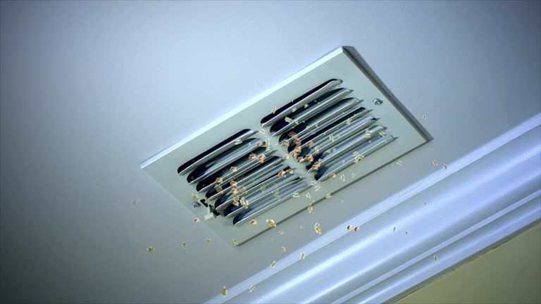Best Air Duct Cleaning Near Me  in Bluffdale, UT