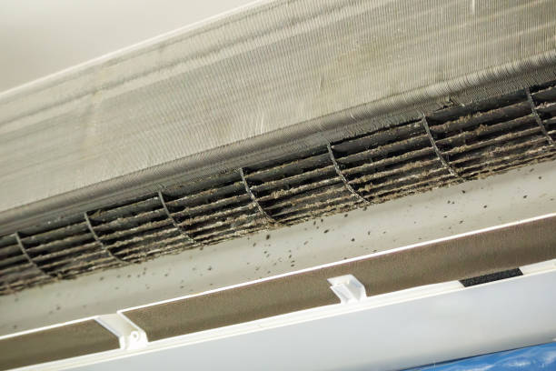 Best Dryer Vent Cleaning Services  in Bluffdale, UT